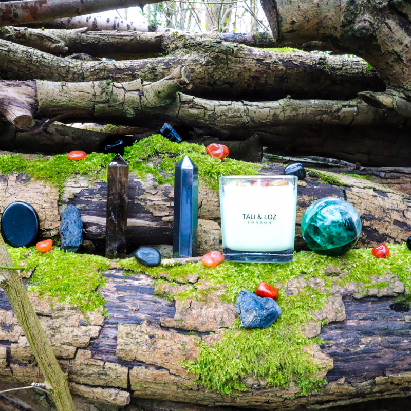 Carnelian, green fluorite, obsidian, black tourmaline on a tree trunk