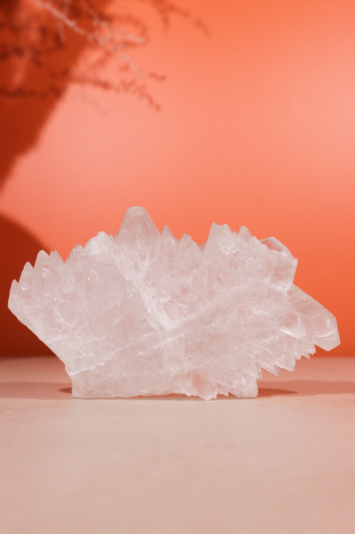 Fishtail Selenite Specimen
