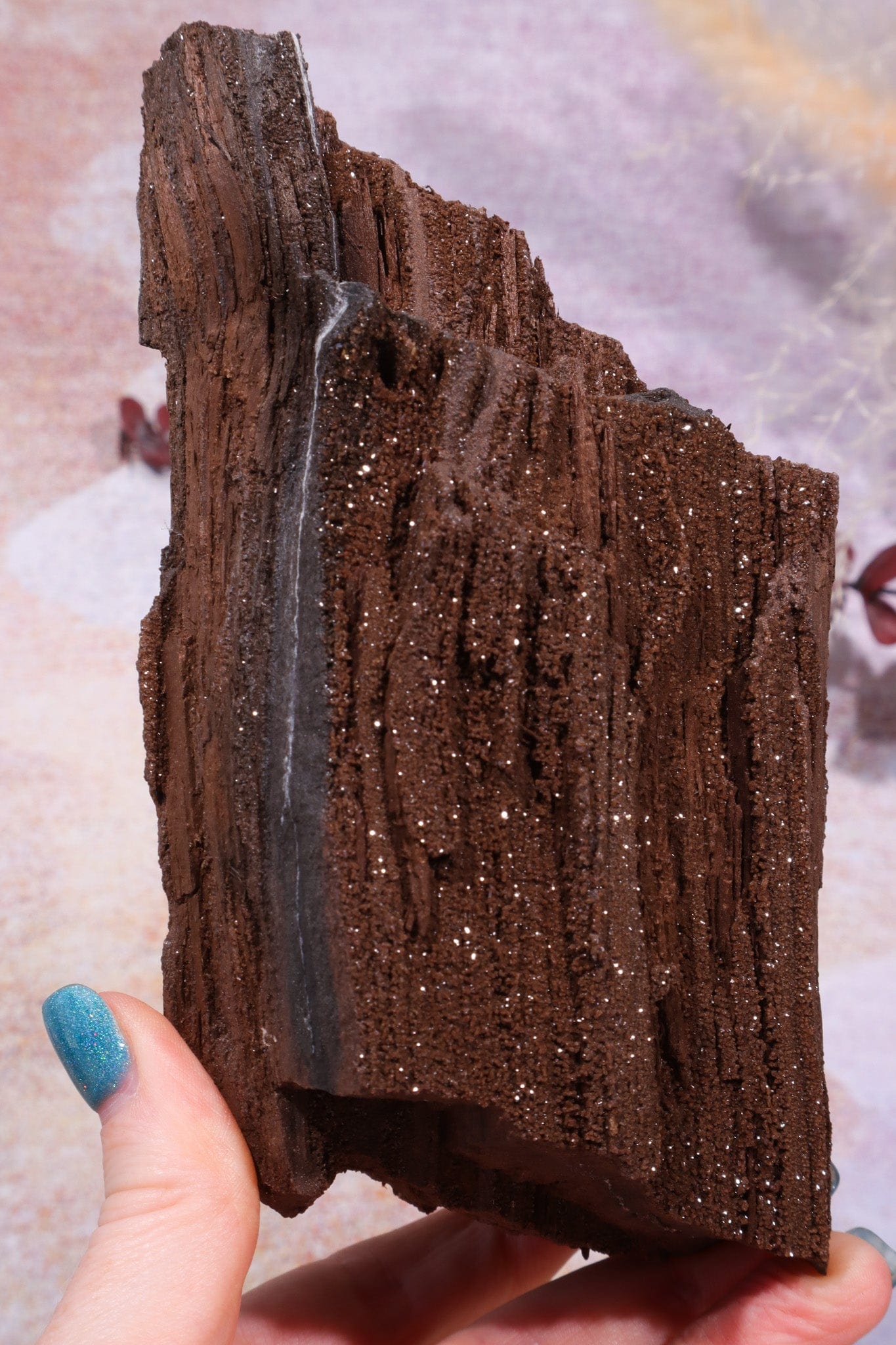 Permineralised Wood