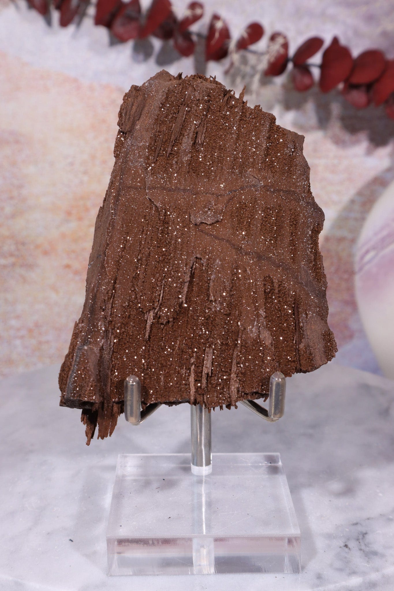 Permineralised Wood Mineral Guide