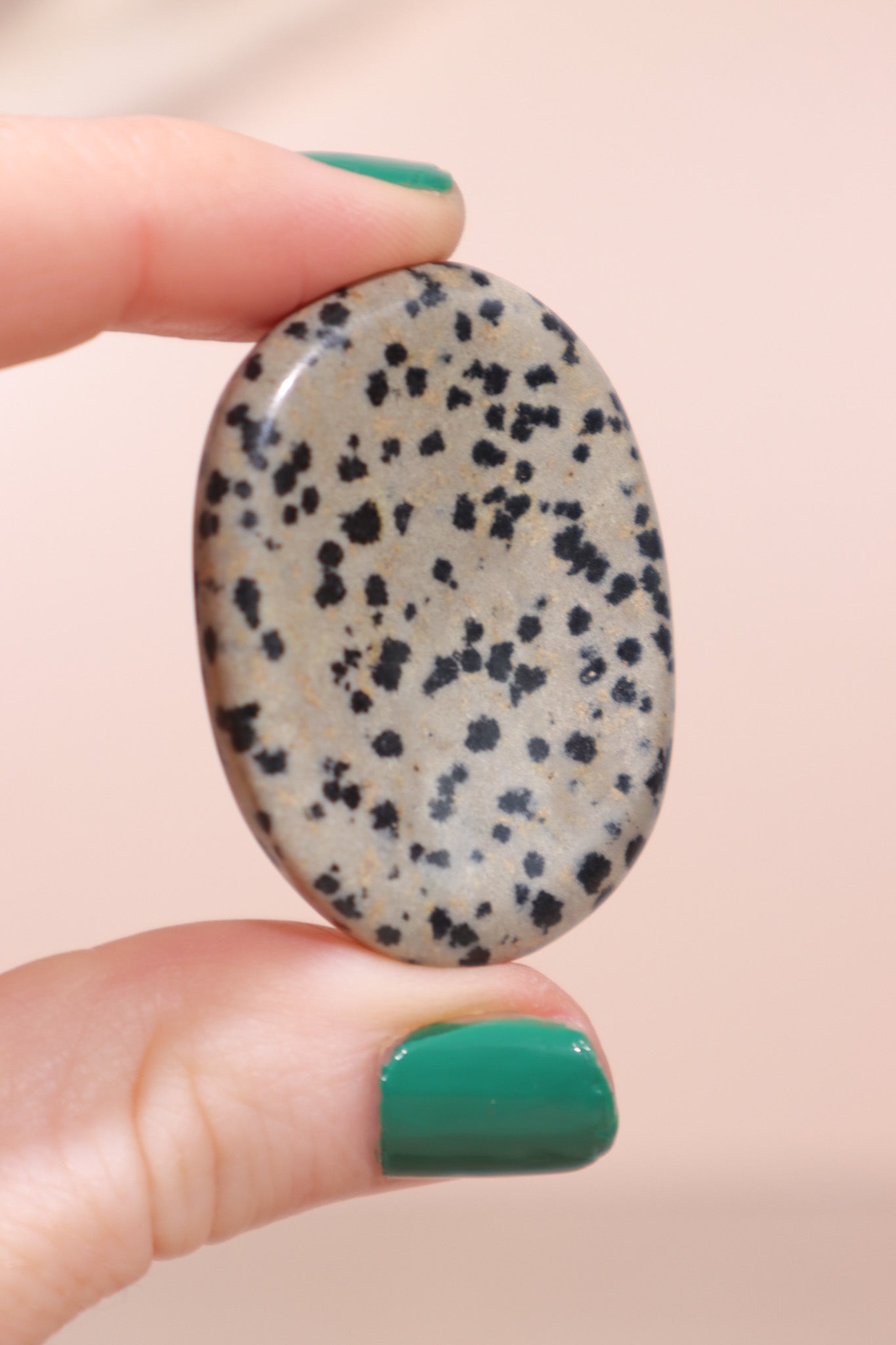 Dalmatian Jasper 