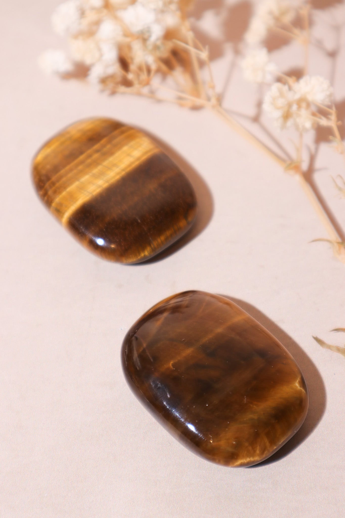 Tigers Eye Palmstones