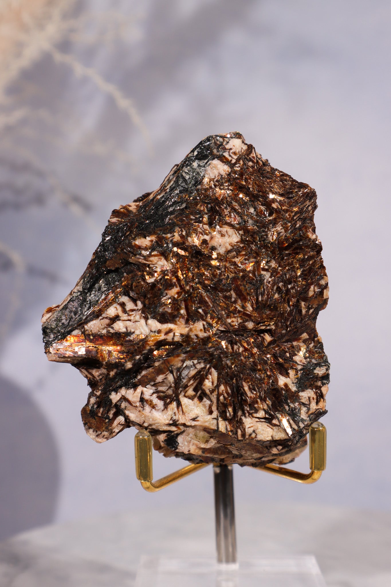 Astrophyllite Specimen