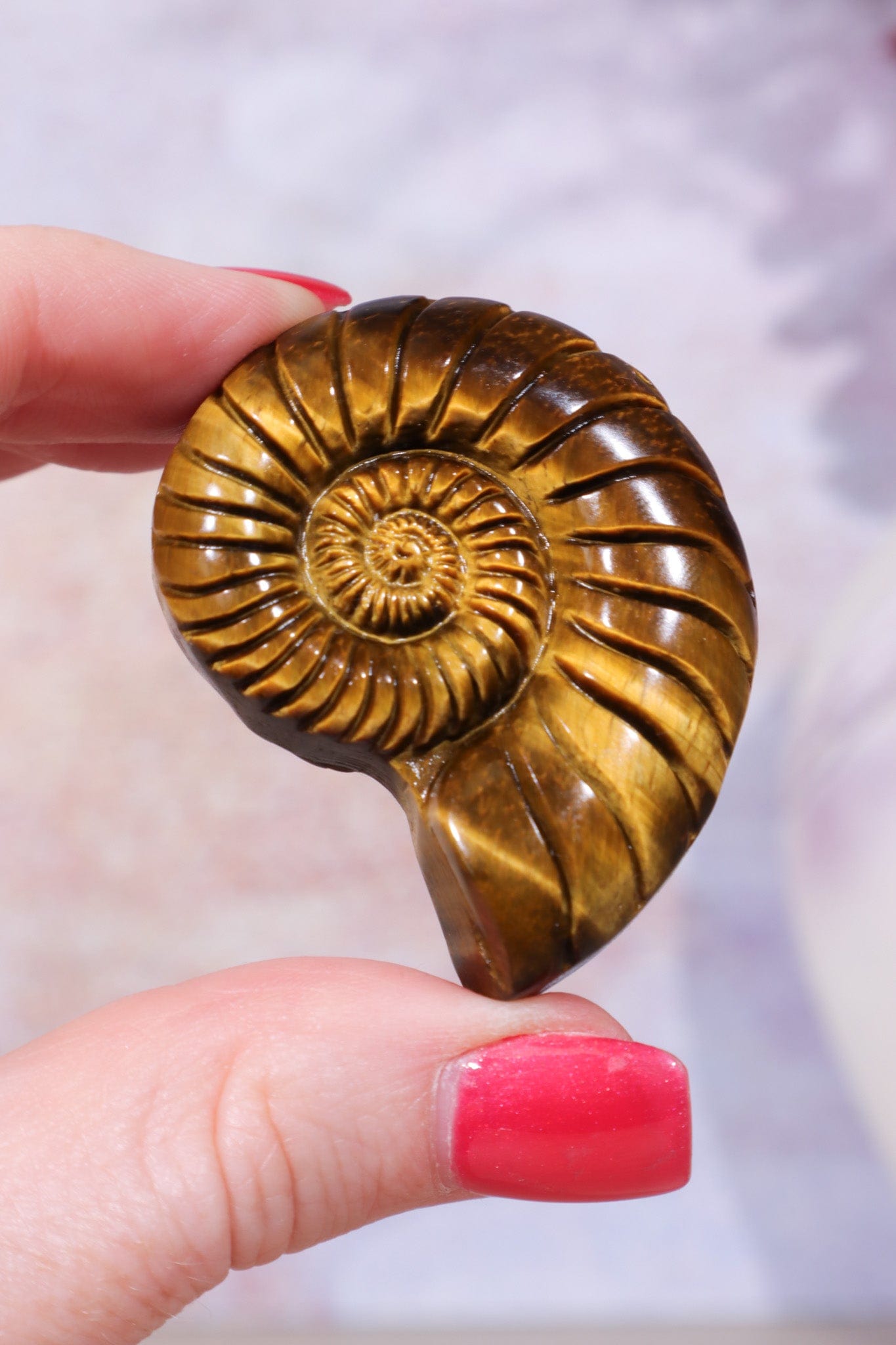 Golden Tigers Eye Ammonite