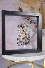 3D Floating Transparent Display Case no Base 14cm Large Specimen Stand Tali & Loz Crystals