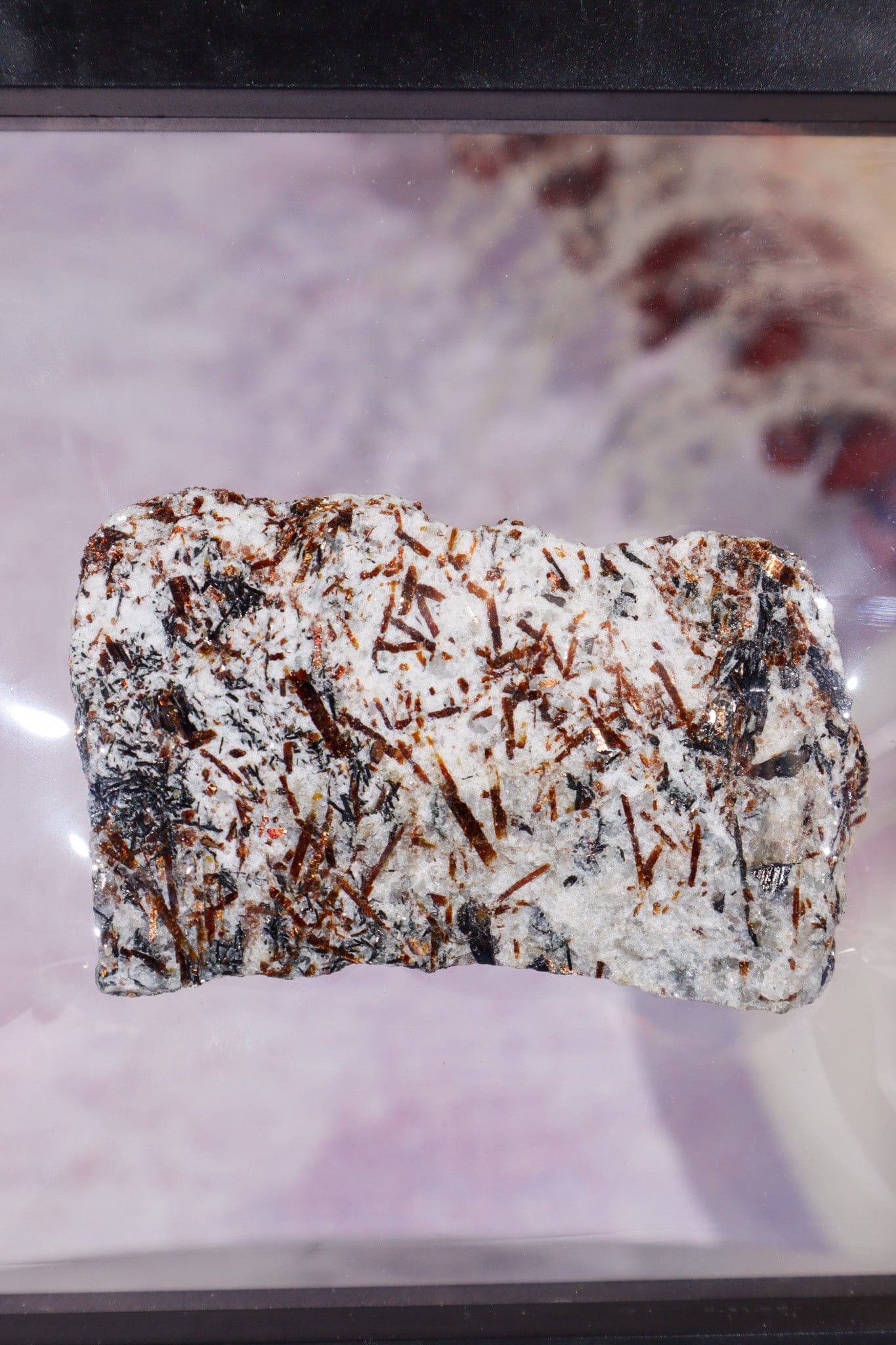 3D Floating Transparent Display Case no Base 14cm Large Specimen Stand Tali & Loz Crystals