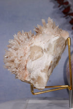 Aragonite Coral Cluster | 10cm | Morocco Minerals Tali & Loz Crystals