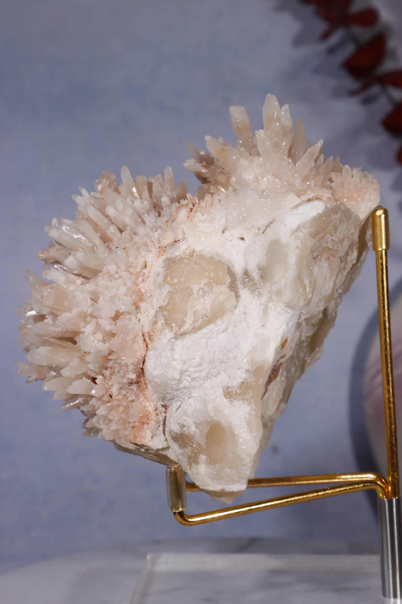 Aragonite Coral Cluster | 10cm | Morocco Minerals Tali & Loz Crystals