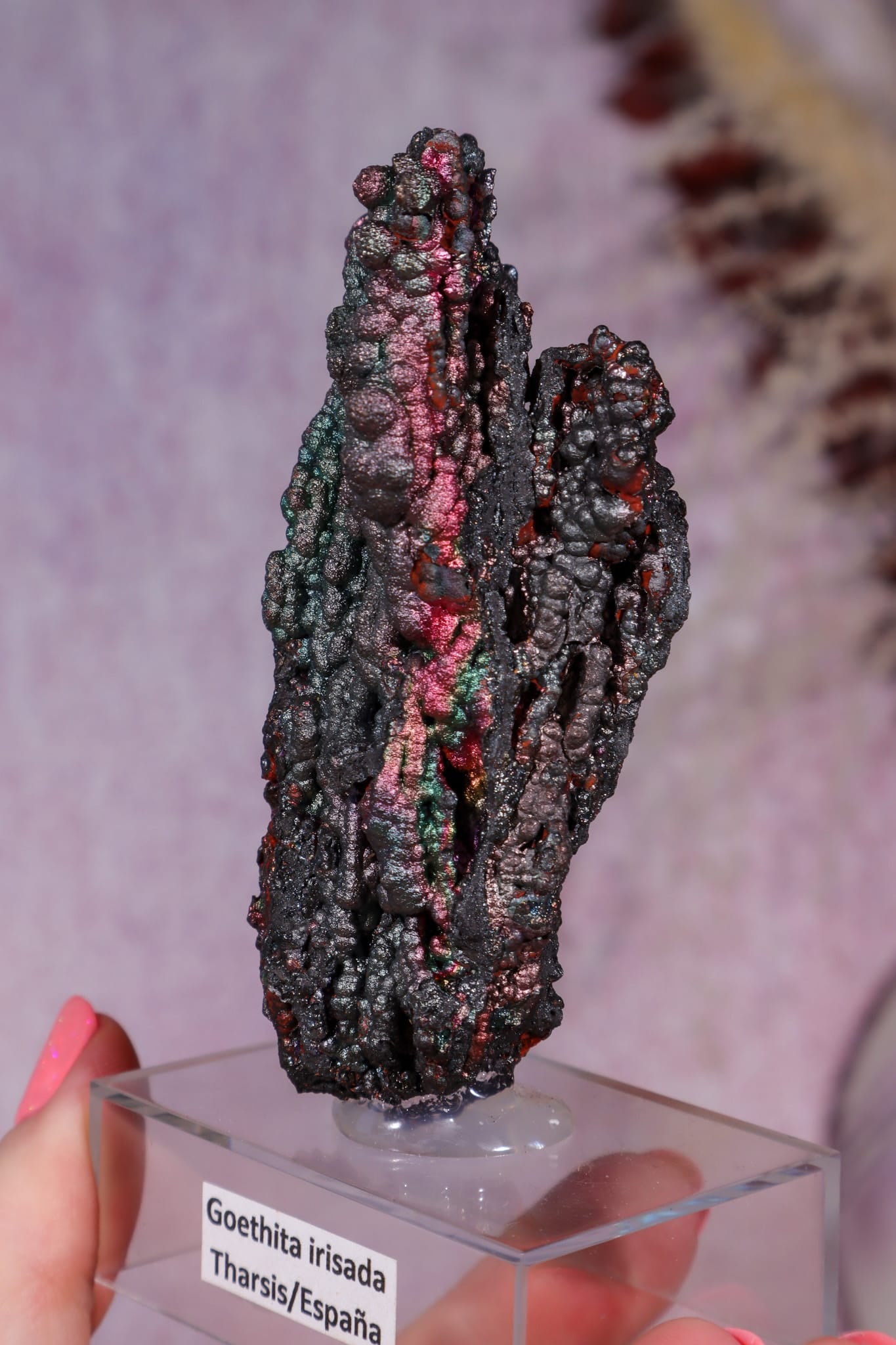 Iridescent Goethite | 59mm | Tharsis, Spain Minerals Tali & Loz Crystals