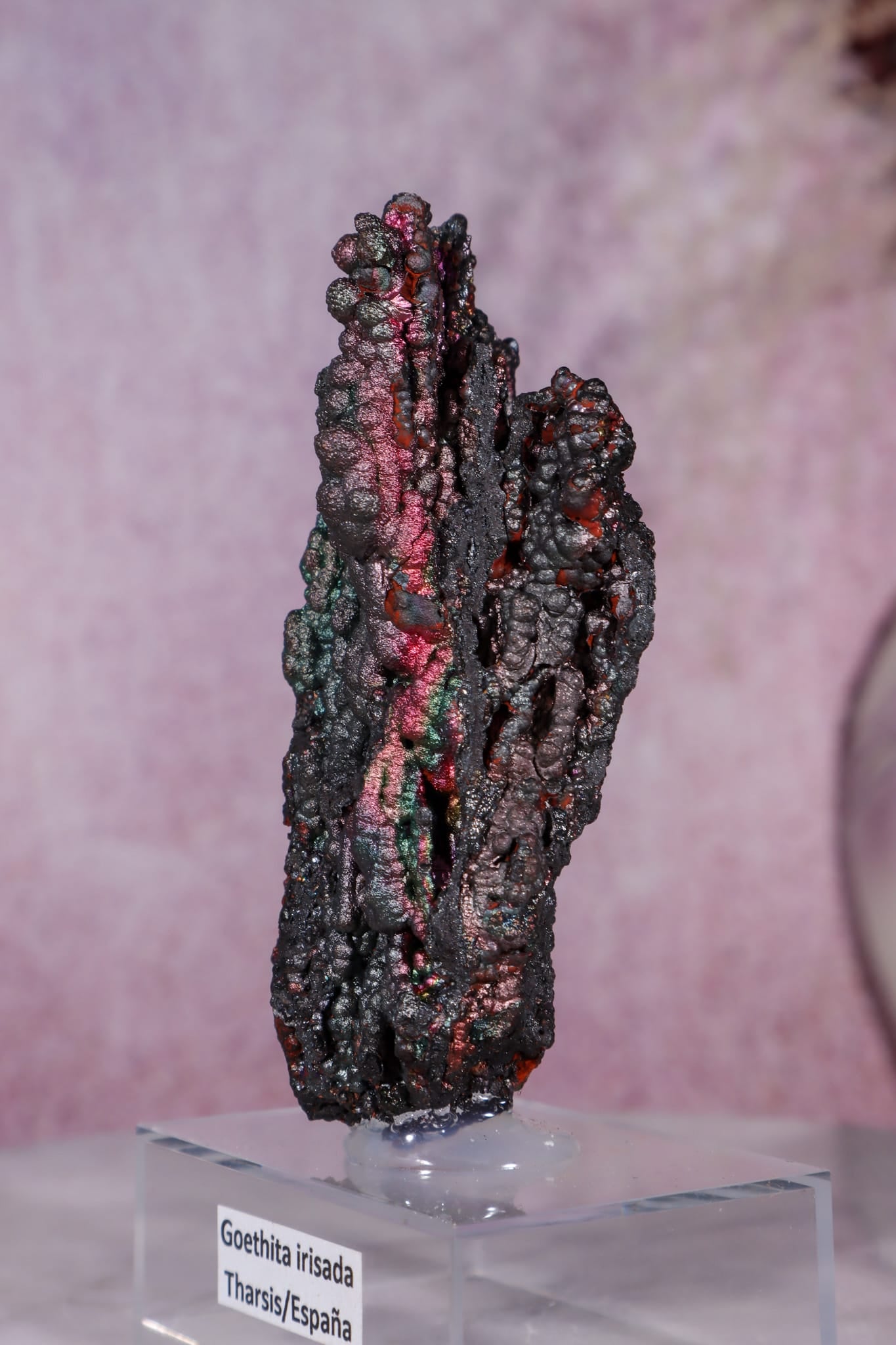 Iridescent Goethite | 59mm | Tharsis, Spain Minerals Tali & Loz Crystals