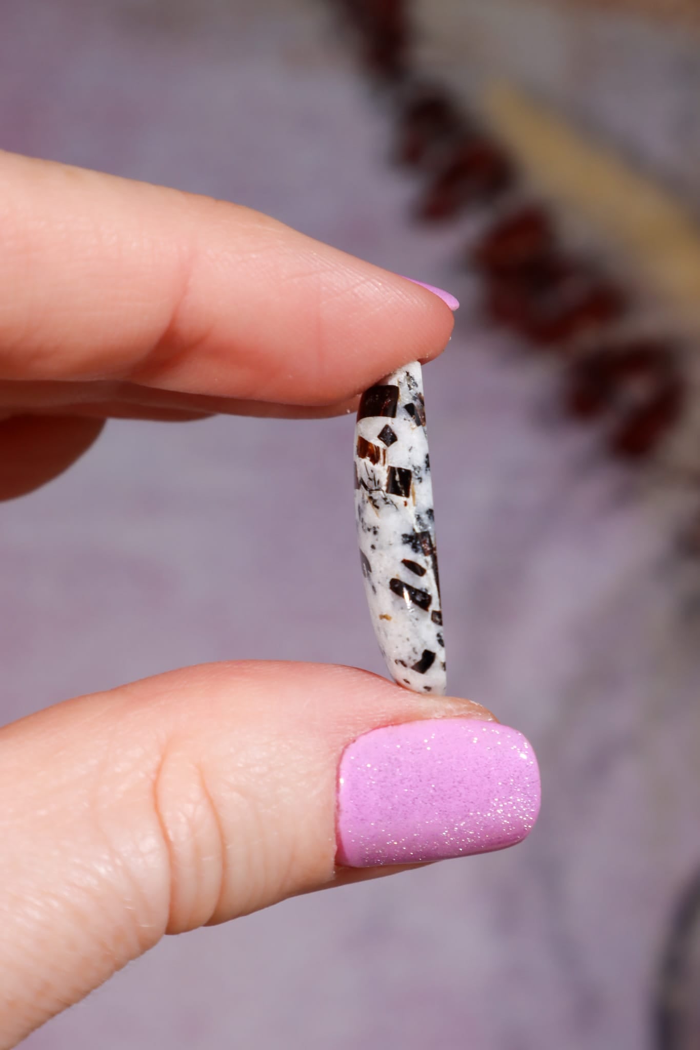 Hand holding a small snake with a blurred background