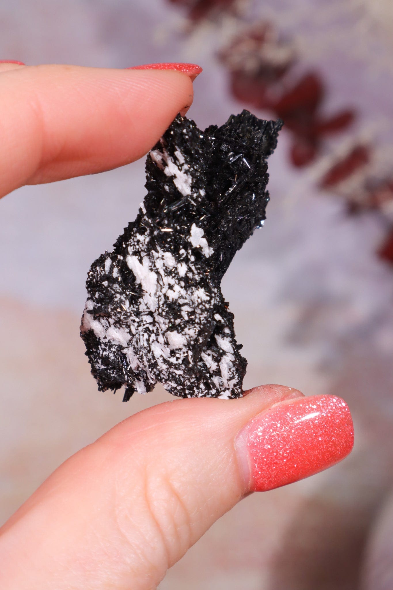 Acicular Black Tourmaline Specimen 12.08gr Specimen Tali & Loz Crystals