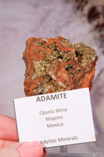 Adamite Mineral Specimen, Mina Ojuela, Mapimi, Durango, Mexico 6.3cm Specimen Tali & Loz Crystals
