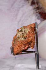 Adamite Mineral Specimen, Mina Ojuela, Mapimi, Durango, Mexico 6.3cm Specimen Tali & Loz Crystals