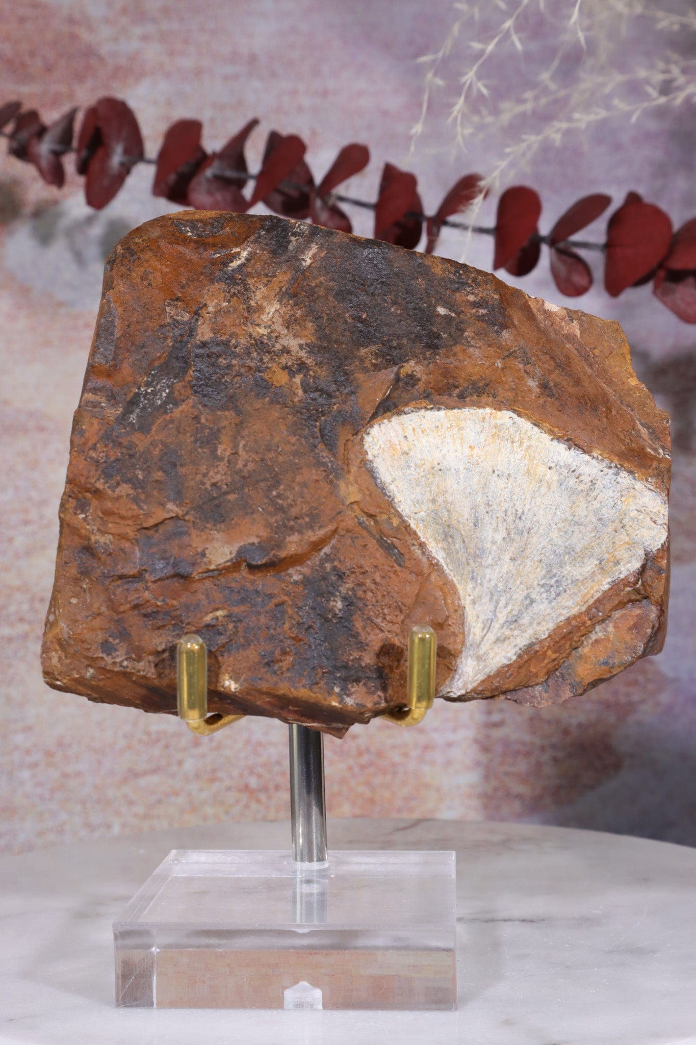 Adjustable Specimen Stand Small Specimen Stand Tali & Loz Crystals