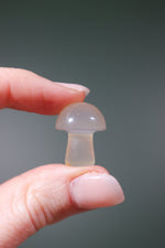 Agate Mushrooms 20mm - Tali & Loz Crystals