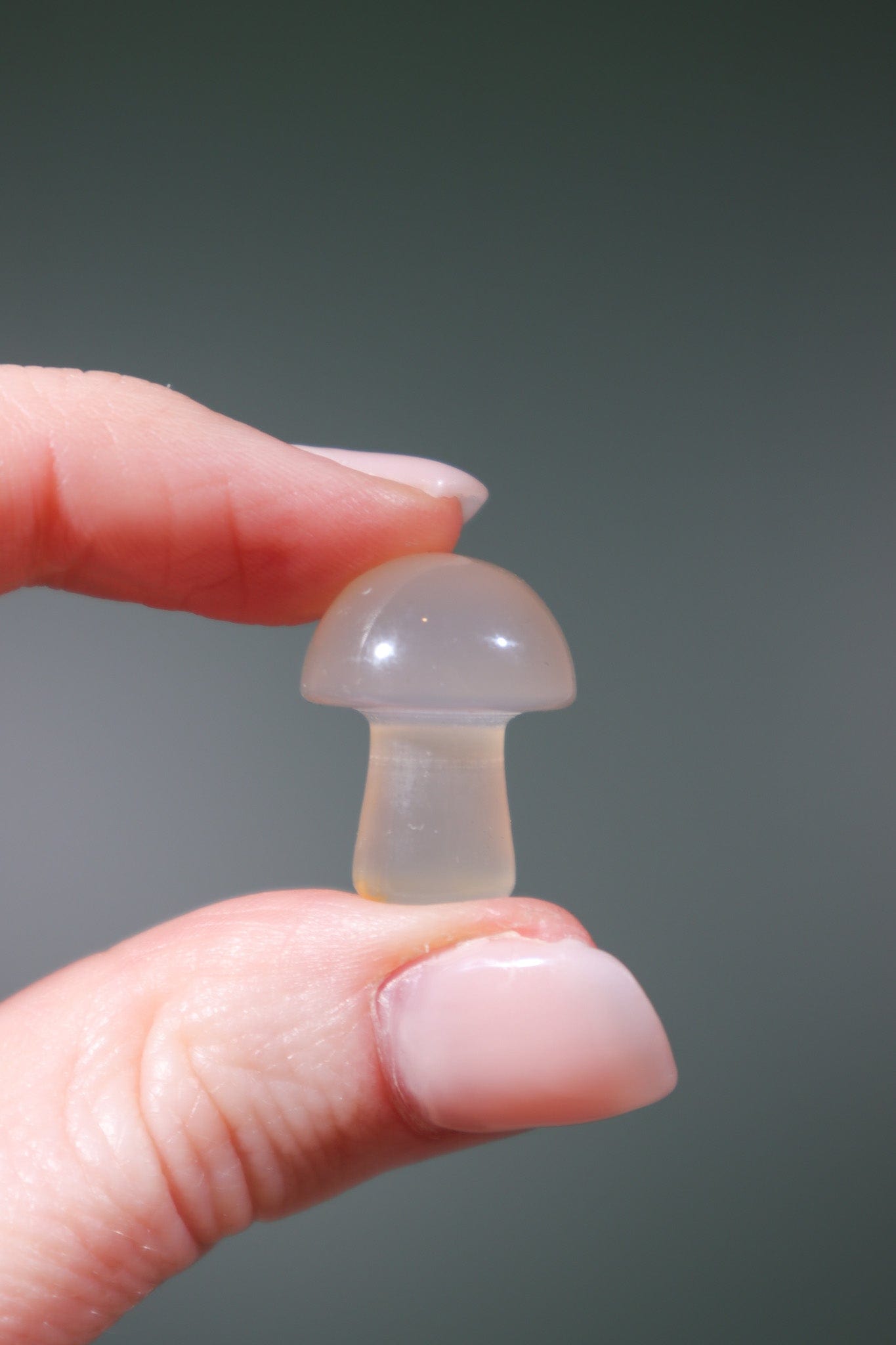 Agate Mushrooms 20mm - Tali & Loz Crystals