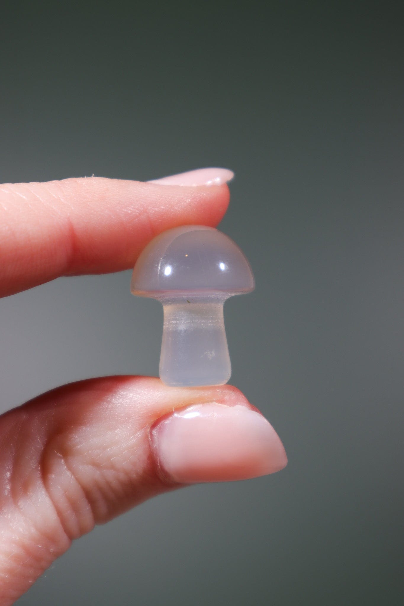 Agate Mushrooms 20mm - Tali & Loz Crystals