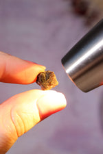Alexandrite Twin Natural Crystal, Brazil, 1cm Minerals Tali & Loz Crystals