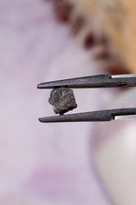 Alexandrite Twin Natural Crystal, Brazil, 1cm Minerals Tali & Loz Crystals
