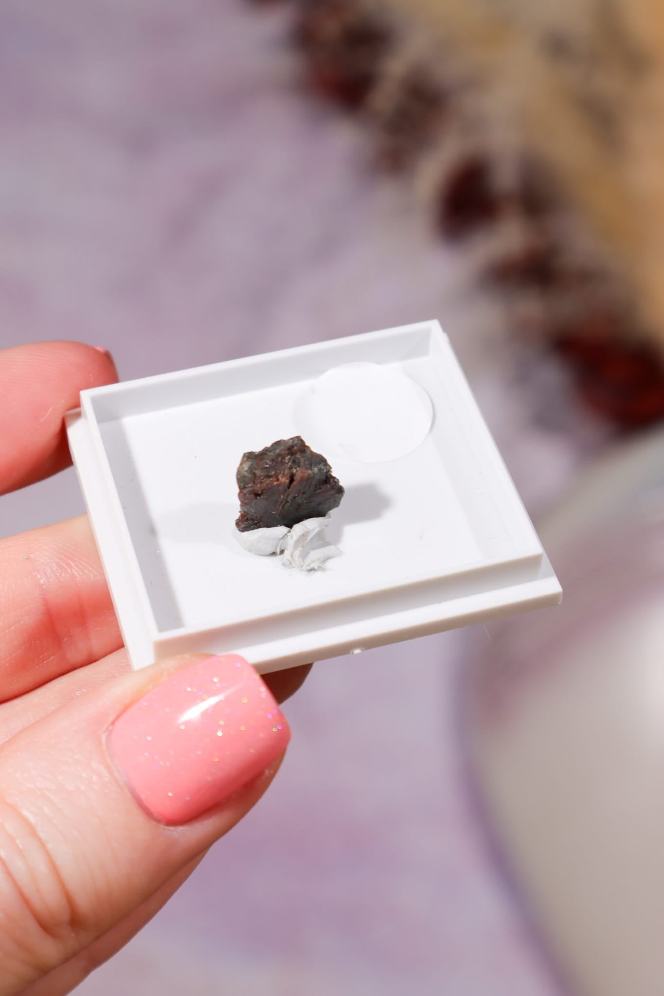 Alexandrite Twin Natural Crystal, Brazil, 1cm Minerals Tali & Loz Crystals