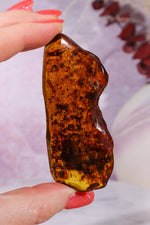 Amber 18.5gr Baltic Rough Crystals Tali & Loz Crystals