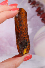 Amber 18.5gr Baltic Rough Crystals Tali & Loz Crystals