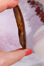 Amber 18.5gr Baltic Rough Crystals Tali & Loz Crystals