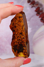 Amber 18.5gr Baltic Rough Crystals Tali & Loz Crystals