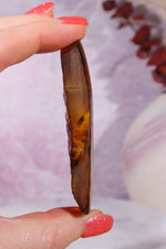 Amber 18.5gr Baltic Rough Crystals Tali & Loz Crystals