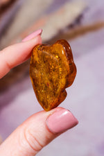 Amber 6.8gr Baltic - Tali & Loz Crystals