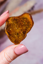 Amber 6.8gr Baltic - Tali & Loz Crystals