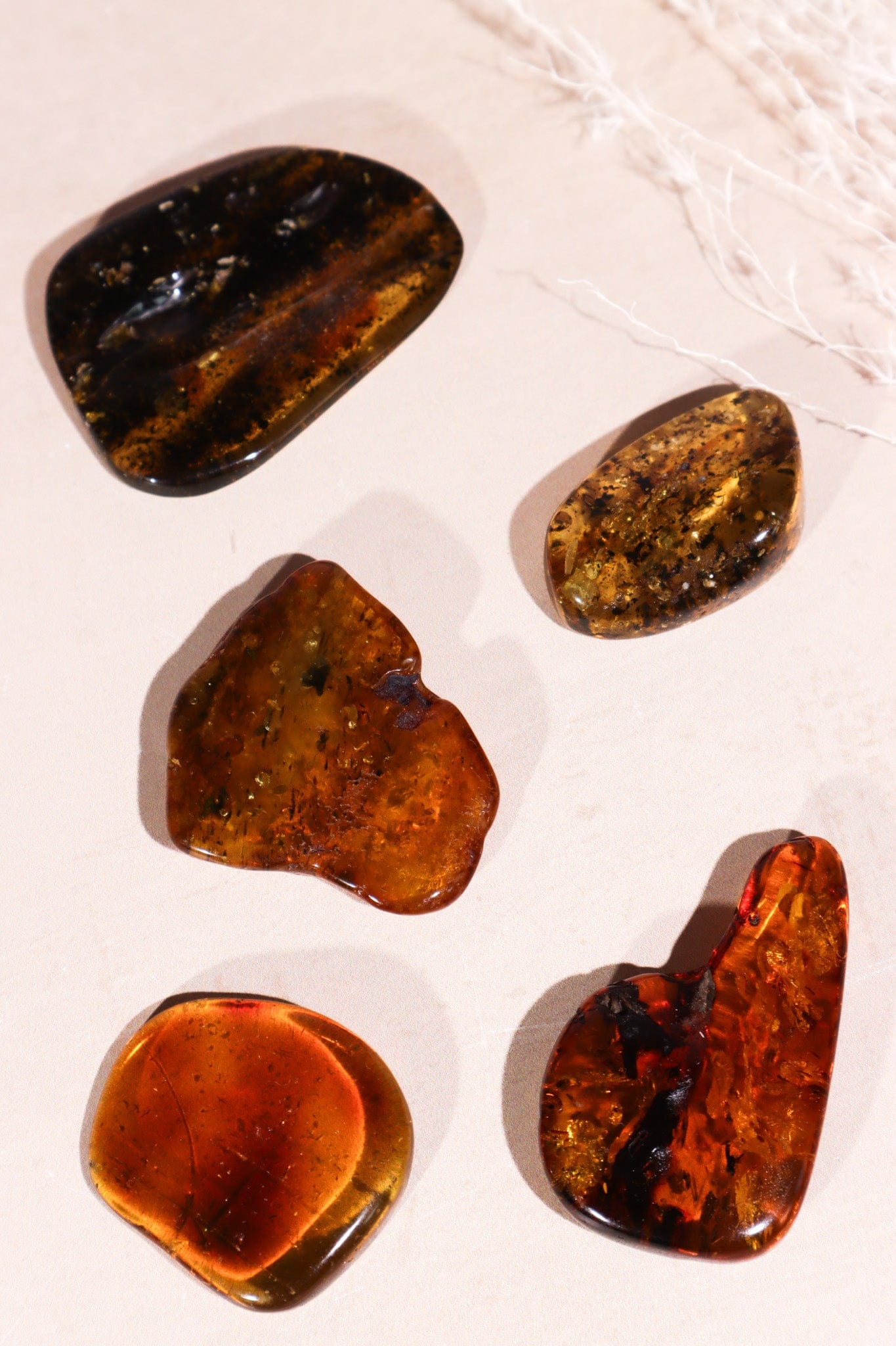 Amber 6.8gr Baltic - Tali & Loz Crystals