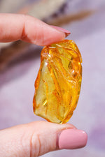 Amber 8.1gr India - Tali & Loz Crystals