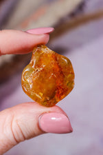 Amber 9.6gr India - Tali & Loz Crystals