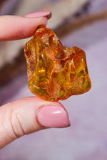 Amber 9.6gr India - Tali & Loz Crystals