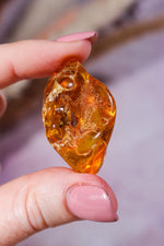 Amber 9.6gr India - Tali & Loz Crystals
