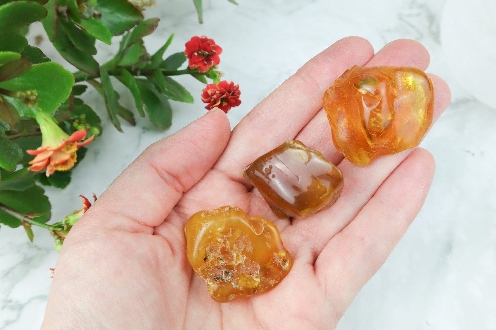 Amber Rough Pieces Rough Crystals Large Tali & Loz