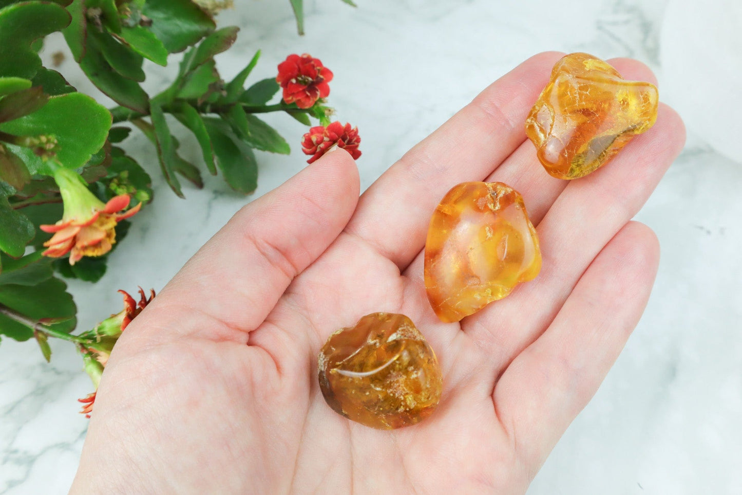 Amber Rough Pieces Rough Crystals Small Tali & Loz