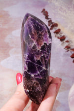 Amethyst Double Terminated Flame With Cacoxenite Carving Tali & Loz Crystals