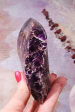 Amethyst Double Terminated Flame With Cacoxenite Carving Tali & Loz Crystals