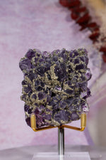 Amethyst & Pyrite Specimen | 62mm | Chala Mine, Bulgaria Minerals Tali & Loz Crystals