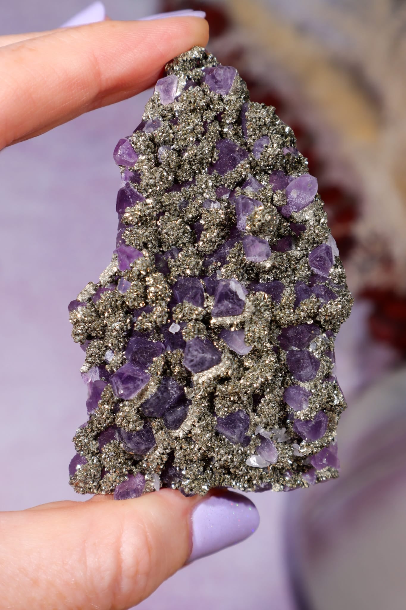 Amethyst & Pyrite Specimen | 70mm | Chala Mine, Bulgaria Minerals Tali & Loz Crystals