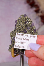 Amethyst & Pyrite Specimen | 70mm | Chala Mine, Bulgaria Minerals Tali & Loz Crystals