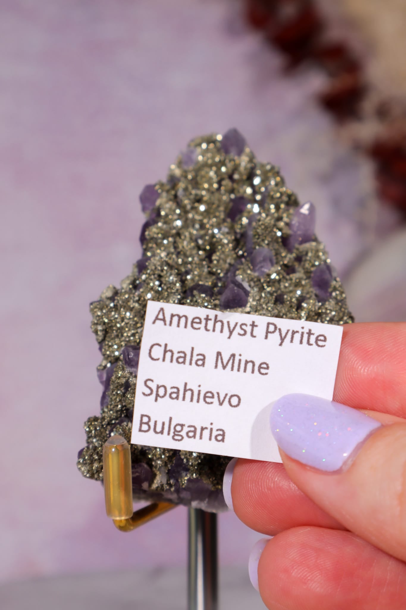 Amethyst & Pyrite Specimen | 70mm | Chala Mine, Bulgaria Minerals Tali & Loz Crystals
