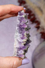 Amethyst & Pyrite Specimen | 70mm | Chala Mine, Bulgaria Minerals Tali & Loz Crystals