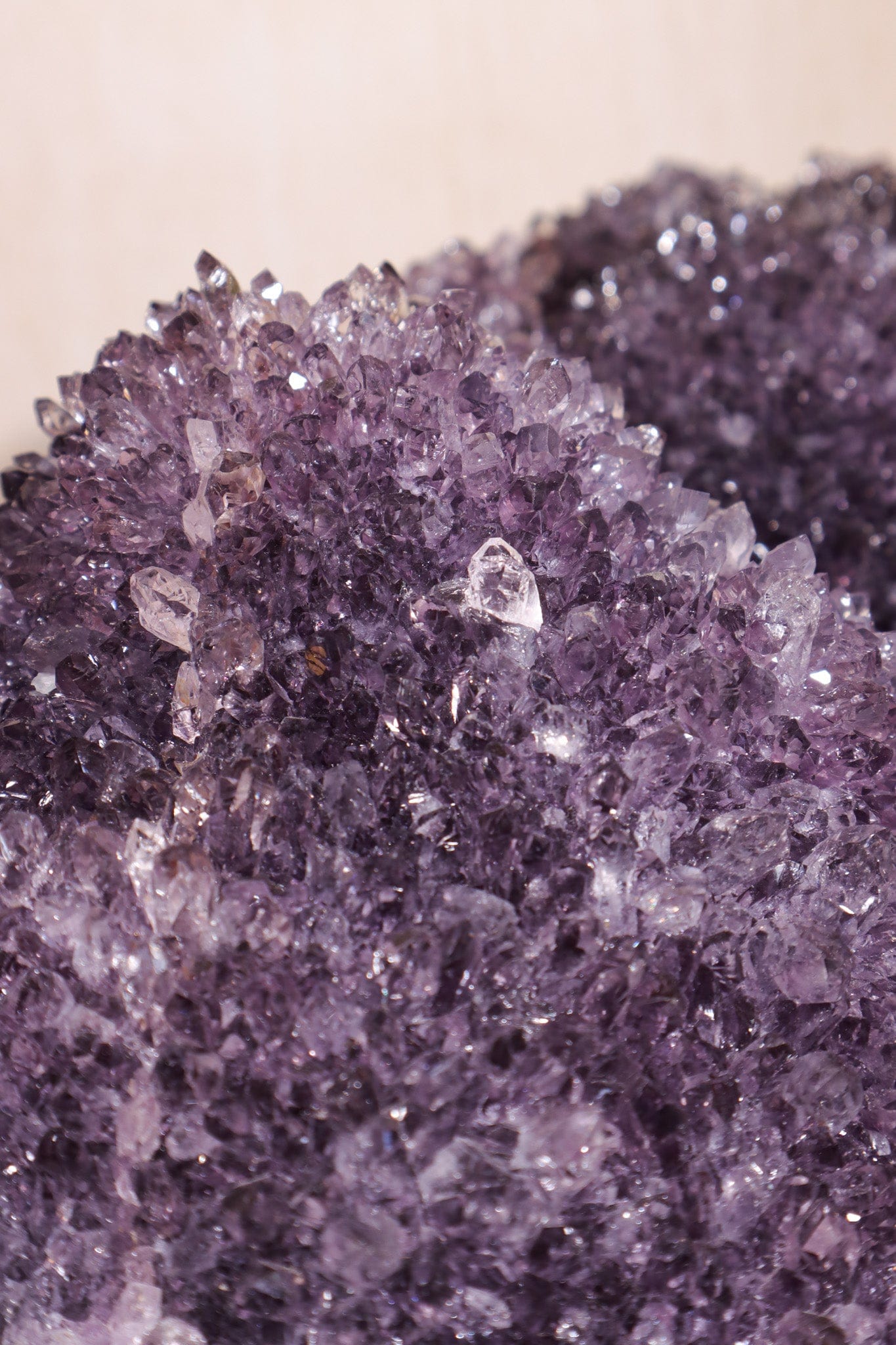 Amethyst Statement Piece 16.5kg Uruguay - Tali & Loz Crystals