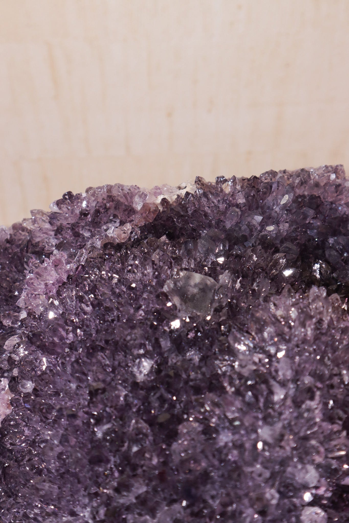Amethyst Statement Piece 16.5kg Uruguay - Tali & Loz Crystals