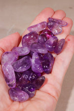 Ametrine Tumblestones | 1.5-2.5cm | Bolivia Tumblestones Tali & Loz Crystals