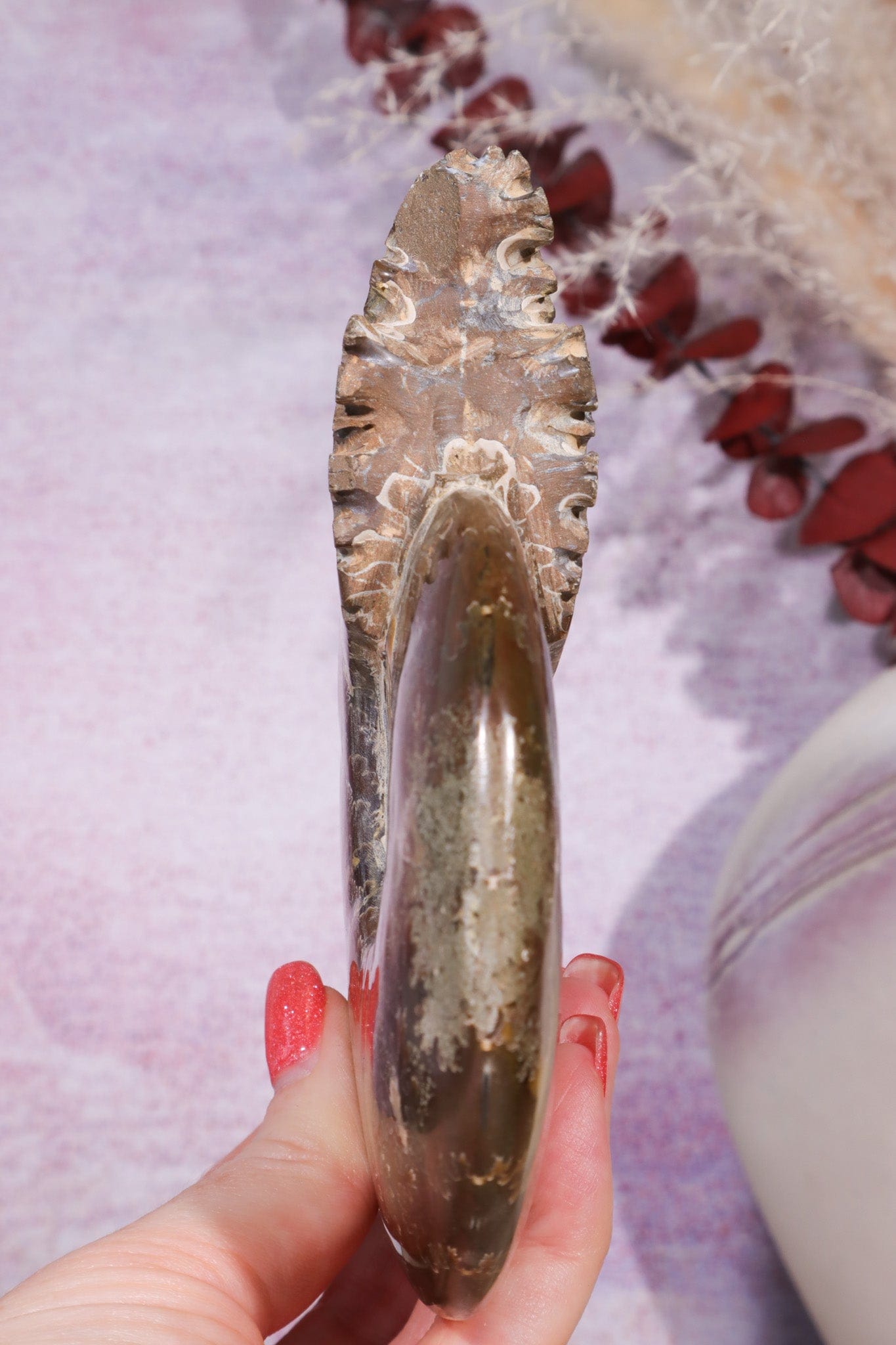 Ammonite From Madagascar 12cm, Sold As Seen Fossil Tali & Loz Crystals